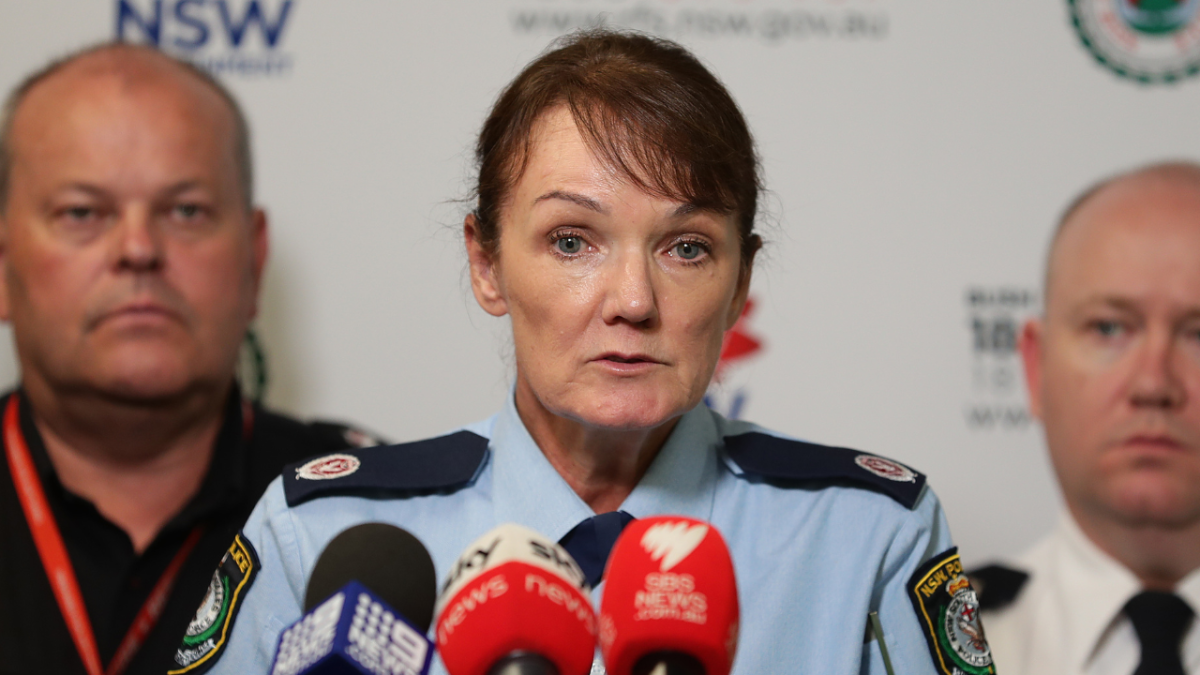 NSW Police Commissioner Karen Webb blames 'Taylor Swift fever' for inappropriate response to Sydney double murder